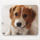 Recherche de cric russell tapis souris Chiot