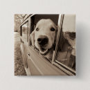Suche nach fenster buttons Foto