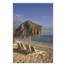 Recherche de chaise longue posters Ensoleillé