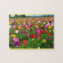 Recherche de tulip puzzles Flowers