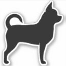 Recherche de chiwawa électronique Chihuahua