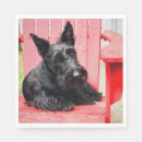 Recherche de scottie serviettes Terrier écossais