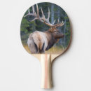 Recherche de mâle raquettes ping pong Animal