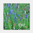 Suche nach wildblumen magnete Blau