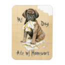 Suche nach cane corso haustier wohnen zuhause Italienischer mastiff