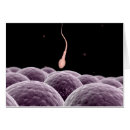Recherche de fertilité Science