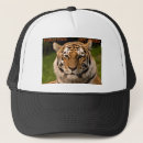 Suche nach pochieren Wild lebende tiere