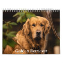 Suche nach goldener kalender Goldene retriever
