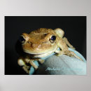 Suche nach frösche poster Tier