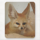 Recherche de fennec tapis souris Renards