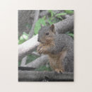 Suche nach nüsse puzzle Natur