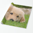 Suche nach lustiger hund geschenkpapier Für kinder