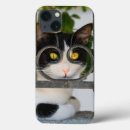 Suche nach rahmen iphone hüllen Lustig