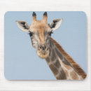 Suche nach tierfotos mousepads Wildtiere