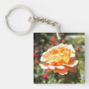 Recherche de abricot porteclés Rose