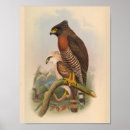 Suche nach bird kunst Vogel