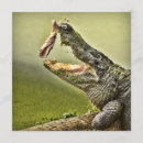 Recherche de wildlife invitations Nature