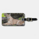 Suche nach panther accessoires Natur