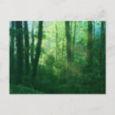 Recherche de effet bois cartes postales Pour tous