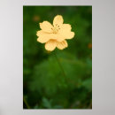 Suche nach friedlich poster Fotografie