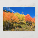 Suche nach staffel postkarten Herbst