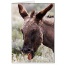 Recherche de mauvais goût cartes postales Rouge