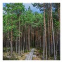 Recherche de pépin posters Forêt