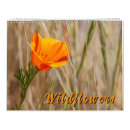Suche nach bunter kalender Natur