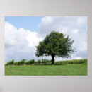 Suche nach bauern poster Fotografie