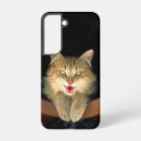 Recherche de fou coques Chat
