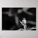 Recherche de gris foncé posters Botanique