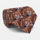 Recherche de roi de lion cravates Félin