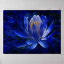 Suche nach lotus flower poster Floral