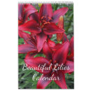 Recherche de fleur de lys calendriers Lis