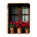 Suche nach fenster magnete Gebäude