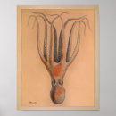 Recherche de mollusque posters Vie marine