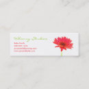 Recherche de gerbera cartes visite Marguerites