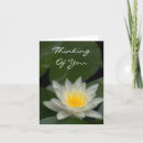 Suche nach lotus karten Denken sie