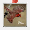 Recherche de ornement cardinal ornements Oiseau