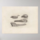 Suche nach vier poster Vogel