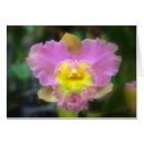 Suche nach cattleya postkarten Rosa