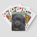 Recherche de spitz jeux de cartes Noir