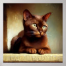Recherche de chats de race posters Félin