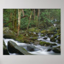 Suche nach kaskaden poster Fotografie