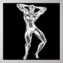 Suche nach bodybuilding poster Sport