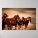 Suche nach unschärfe poster Tier