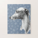 Recherche de whippet puzzles Chiot