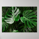 Recherche de motif palmier posters Vintage