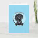 Suche nach labradoodle karten Hunde