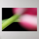 Suche nach nichts sich zu verstecken poster Blume